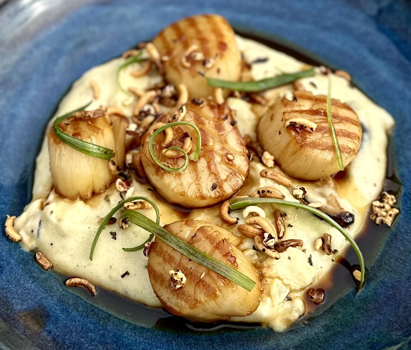 Culinary photography of plated grilled onion dish with herbs and sauce