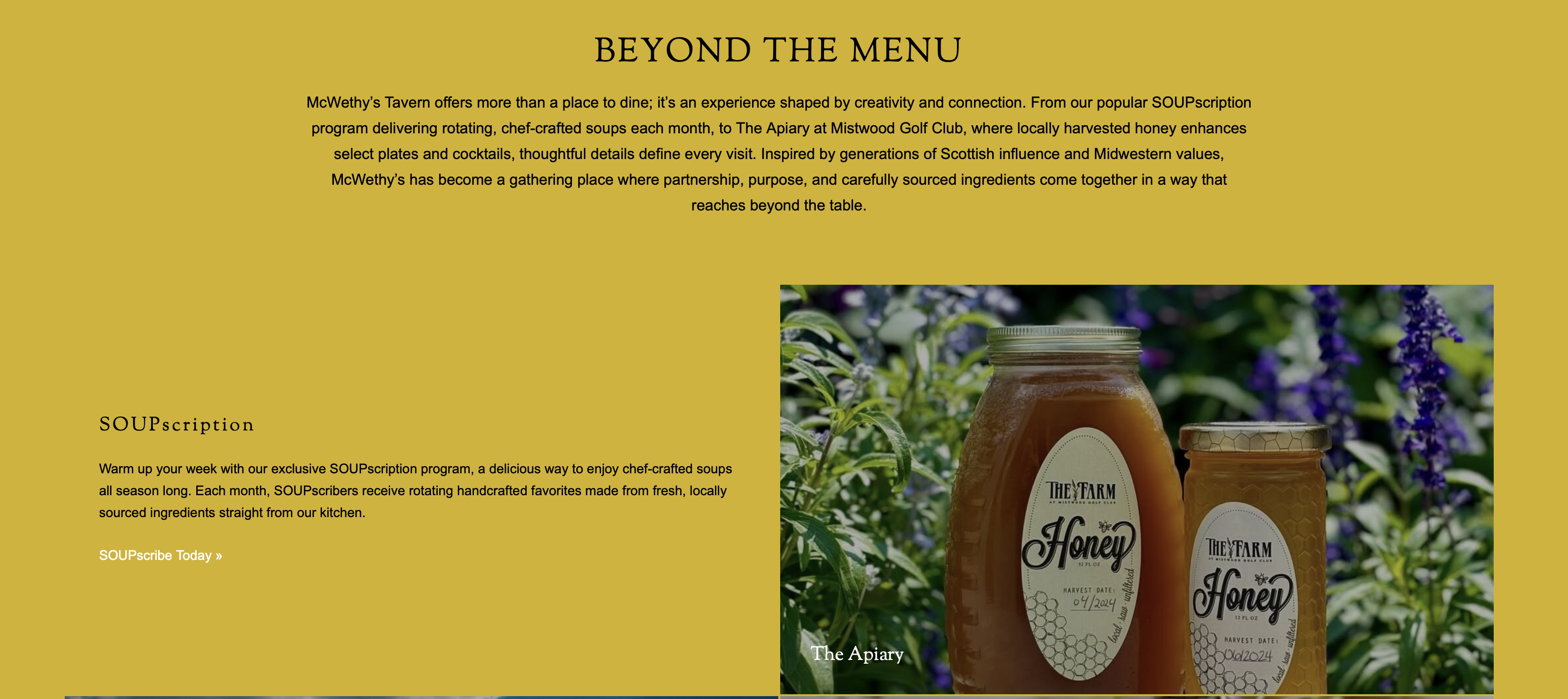 Beyond the Menu — alternate view
